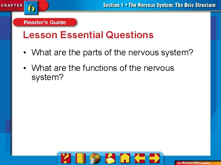 Lesson Essential Questions • What are the parts of the nervous system? • What