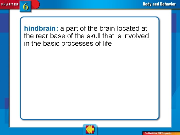 hindbrain: a part of the brain located at the rear base of the skull