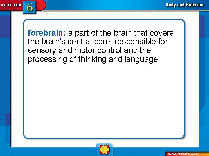 forebrain: a part of the brain that covers the brain’s central core, responsible for