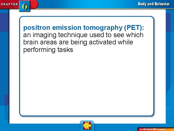 positron emission tomography (PET): an imaging technique used to see which brain areas are