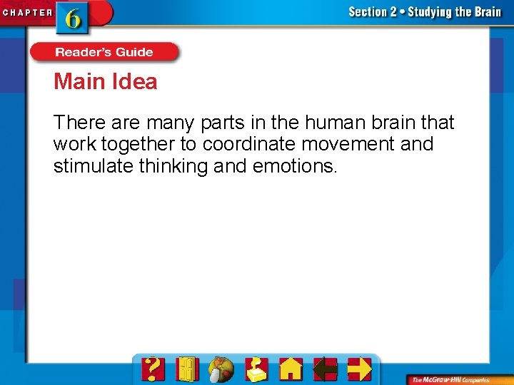 Main Idea There are many parts in the human brain that work together to