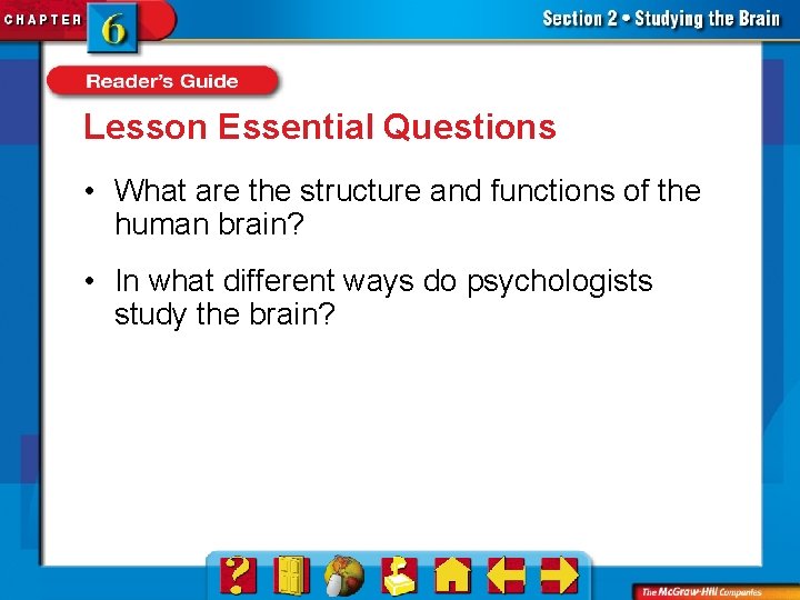 Lesson Essential Questions • What are the structure and functions of the human brain?