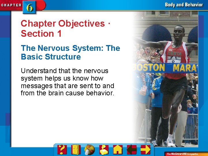 Chapter Objectives · Section 1 The Nervous System: The Basic Structure Understand that the