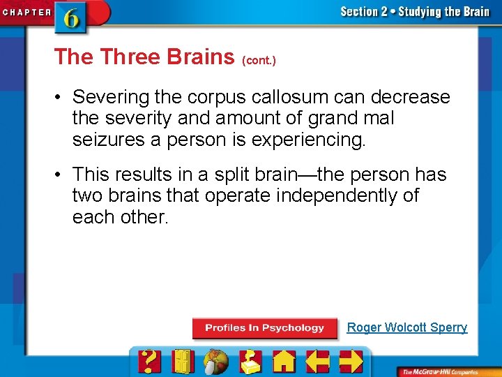 The Three Brains (cont. ) • Severing the corpus callosum can decrease the severity