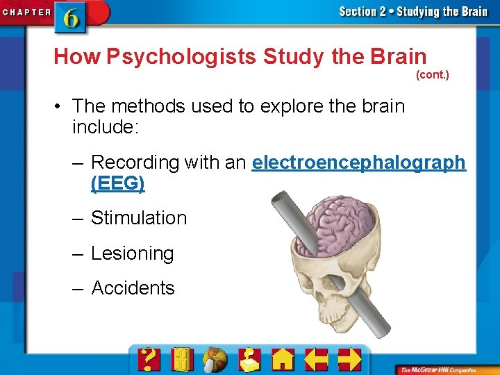 How Psychologists Study the Brain (cont. ) • The methods used to explore the