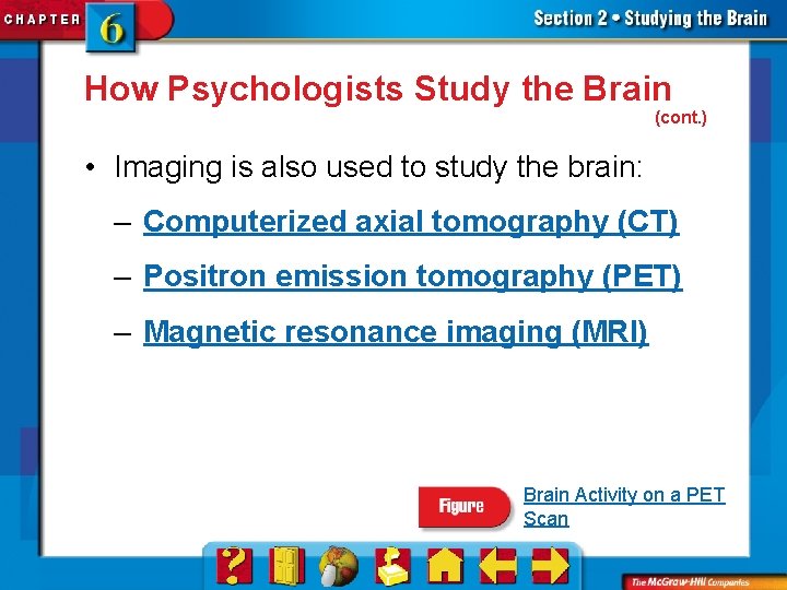 How Psychologists Study the Brain (cont. ) • Imaging is also used to study