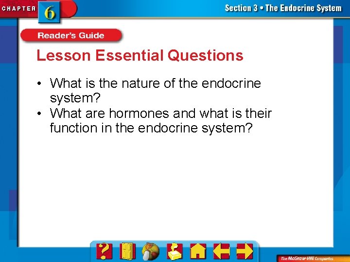 Lesson Essential Questions • What is the nature of the endocrine system? • What