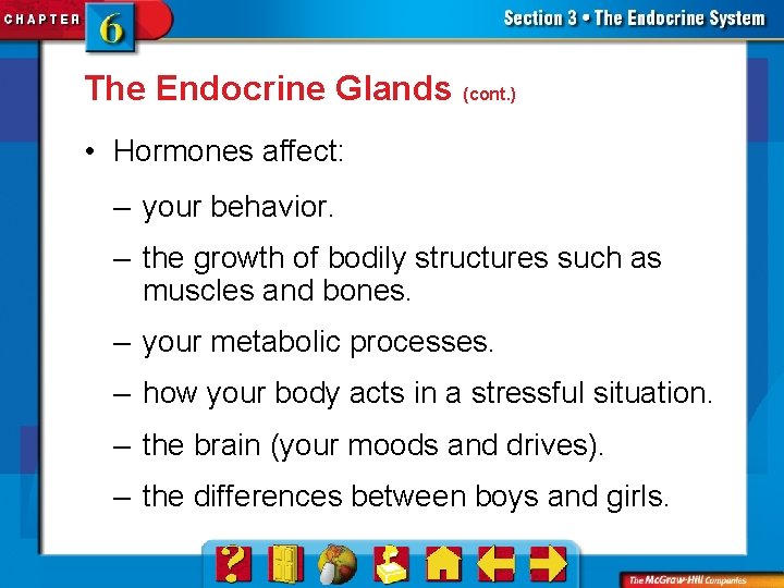 The Endocrine Glands (cont. ) • Hormones affect: – your behavior. – the growth