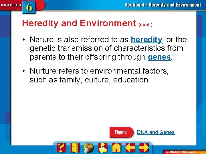 Heredity and Environment (cont. ) • Nature is also referred to as heredity, or