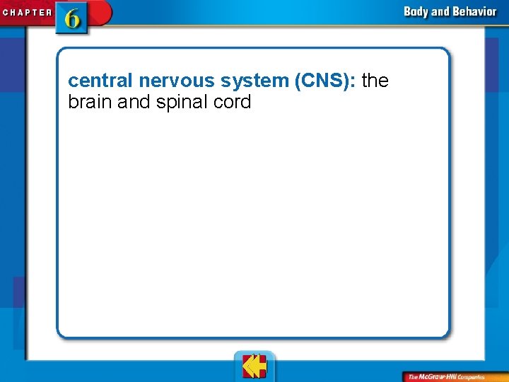 central nervous system (CNS): the brain and spinal cord 