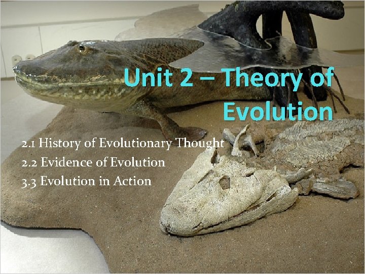 Unit 2 Theory of Evolution 2 1 History