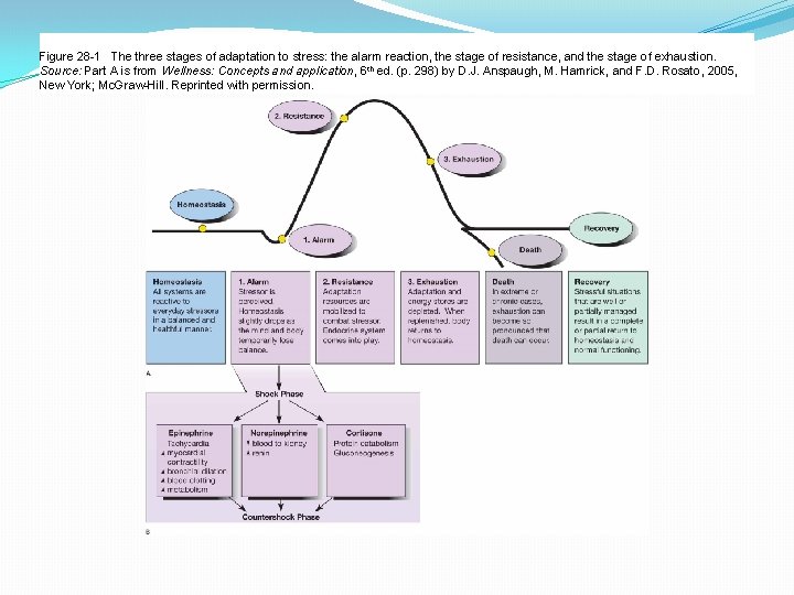 Figure 28 -1 The three stages of adaptation to stress: the alarm reaction, the