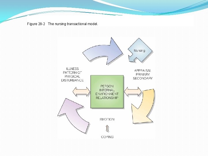 Figure 28 -2 The nursing transactional model. 