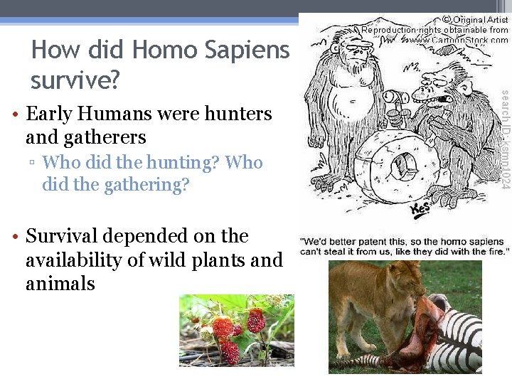 How did Homo Sapiens survive? • Early Humans were hunters and gatherers ▫ Who