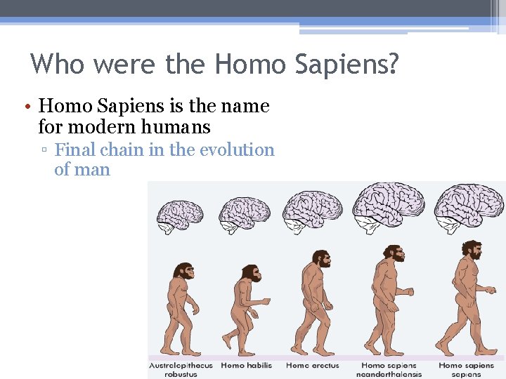 Who were the Homo Sapiens? • Homo Sapiens is the name for modern humans