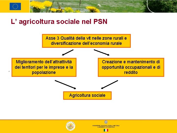 L’ agricoltura sociale nel PSN Asse 3 Qualità della vit nelle zone rurali e