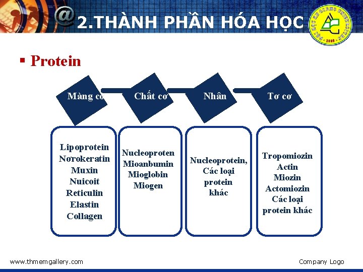 2. THÀNH PHẦN HÓA HỌC § Protein Màng cơ Lipoprotein Nơrokeratin Muxin Nuicoit Reticulin