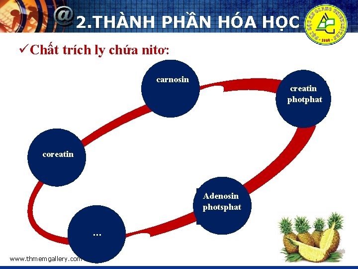 2. THÀNH PHẦN HÓA HỌC üChất trích ly chứa nitơ: carnosin creatin photphat coreatin