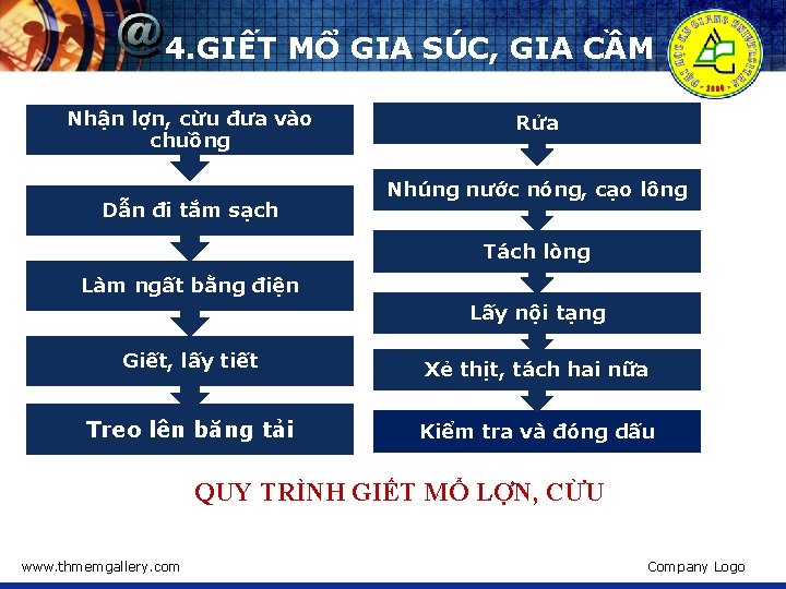 4. GIẾT MỔ GIA SÚC, GIA CẦM Nhận lợn, cừu đưa vào chuồng Dẫn