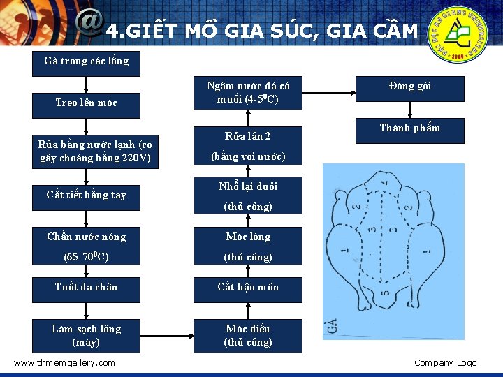 4. GIẾT MỔ GIA SÚC, GIA CẦM Gà trong các lồng Treo lên móc