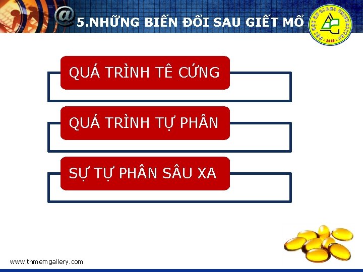 5. NHỮNG BIẾN ĐỔI SAU GIẾT MỔ QUÁ TRÌNH TÊ CỨNG QUÁ TRÌNH TỰ