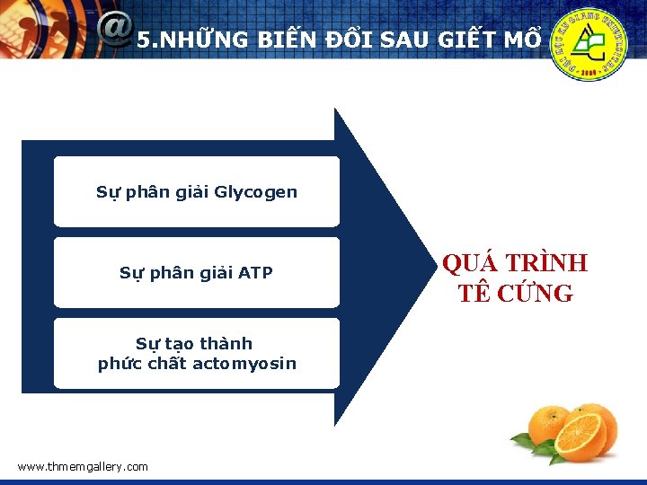 5. NHỮNG BIẾN ĐỔI SAU GIẾT MỔ Sự phân giải Glycogen Sự phân giải