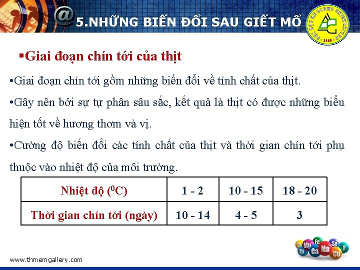 5. NHỮNG BIẾN ĐỔI SAU GIẾT MỔ §Giai đoạn chín tới của thịt •