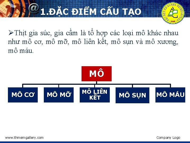 1. ĐẶC ĐIỂM CẤU TẠO ØThịt gia súc, gia cầm là tổ hợp các