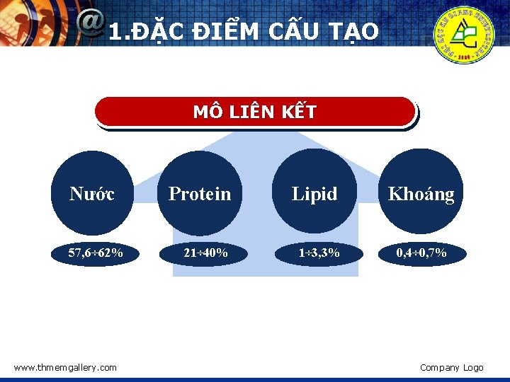 1. ĐẶC ĐIỂM CẤU TẠO MÔ LIÊN KẾT Nước 57, 6÷ 62% www. thmemgallery.