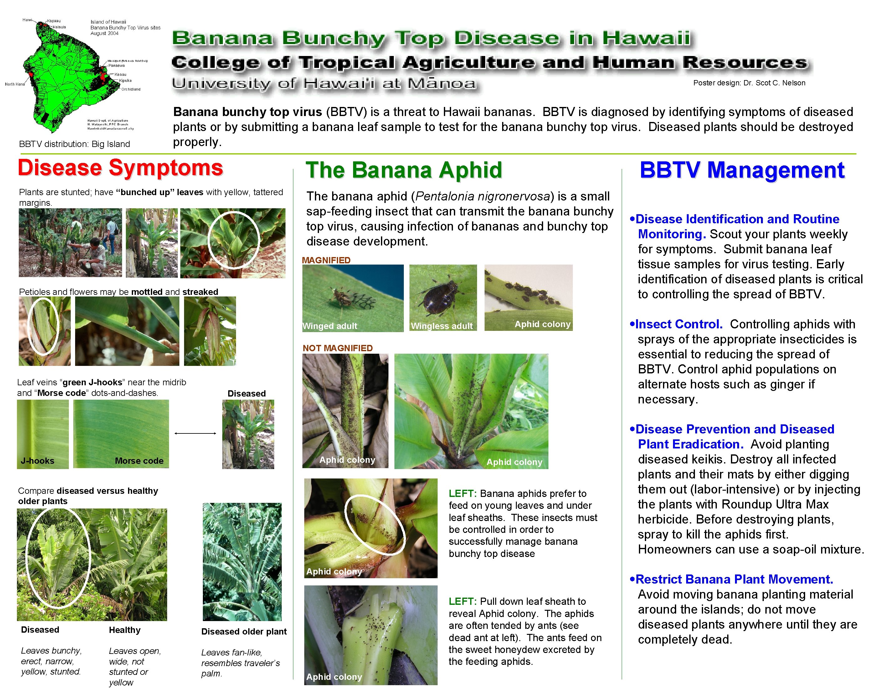 Poster design: Dr. Scot C. Nelson BBTV distribution: Big Island Banana bunchy top virus