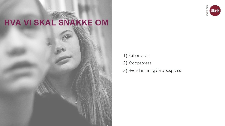 HVA VI SKAL SNAKKE OM 1) Puberteten 2) Kroppspress 3) Hvordan unngå kroppspress 