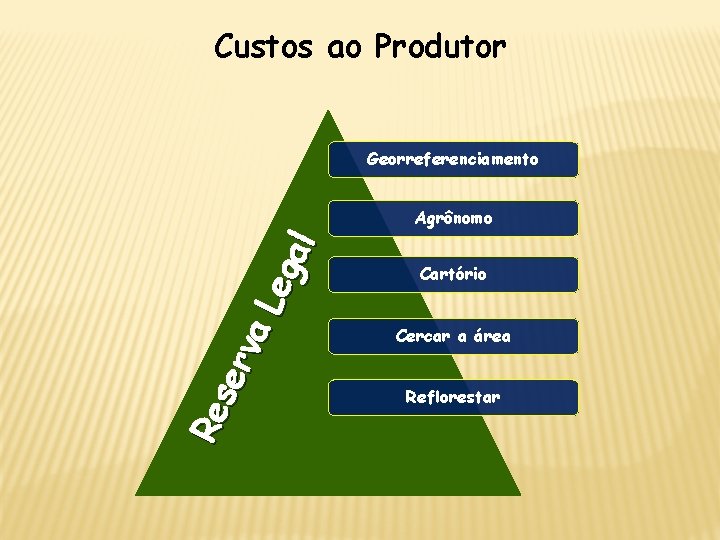 Custos ao Produtor Georreferenciamento R es erv a Le g al Agrônomo Cartório Cercar