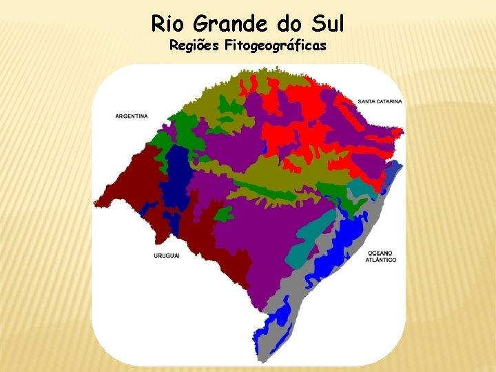 Rio Grande do Sul Regiões Fitogeográficas 