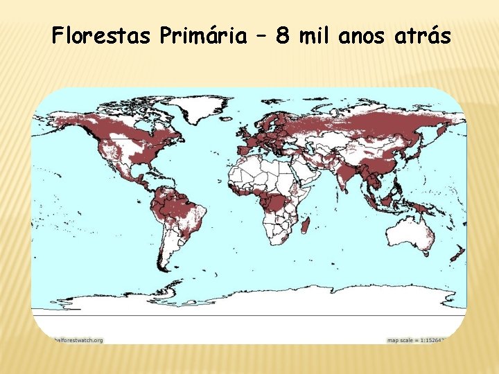 Florestas Primária – 8 mil anos atrás 