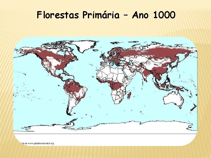 Florestas Primária – Ano 1000 