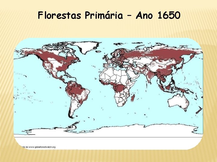 Florestas Primária – Ano 1650 