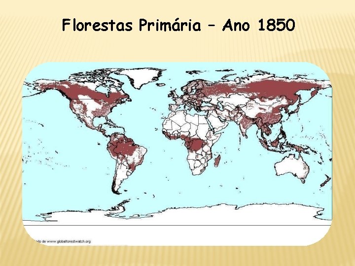 Florestas Primária – Ano 1850 