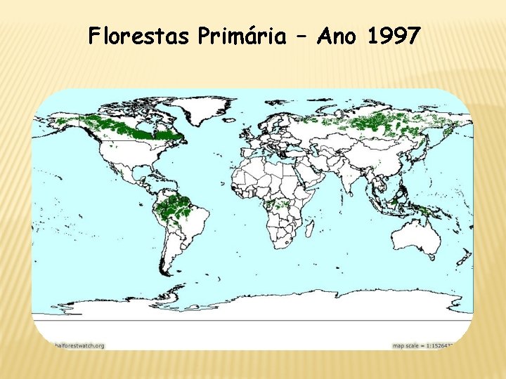 Florestas Primária – Ano 1997 