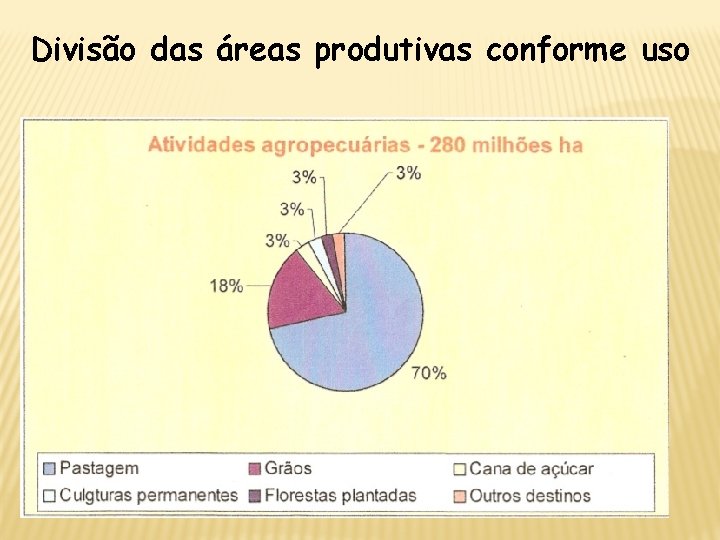 Divisão das áreas produtivas conforme uso PRODUÇÃO DE ALCOOL 40 bilhões de litros no