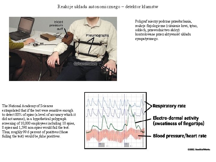 Reakcje układu autonomicznego – detektor kłamstw Poligraf mierzy podczas przesłuchania, reakcje fizjologiczne (ciśnienie krwi,