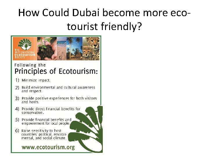 How Could Dubai become more ecotourist friendly? 