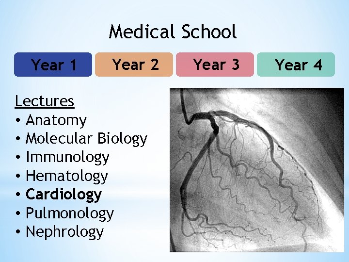 Medical School Year 1 Year 2 Lectures • Anatomy • Molecular Biology • Immunology