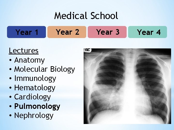 Medical School Year 1 Year 2 Lectures • Anatomy • Molecular Biology • Immunology