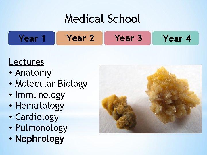 Medical School Year 1 Year 2 Lectures • Anatomy • Molecular Biology • Immunology