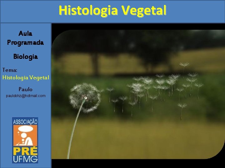 Histologia Vegetal Aula Programada Biologia Tema: Histologia Vegetal Paulo paulobhz@hotmail. com 