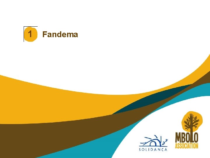 1 Fandema 1 Fandema