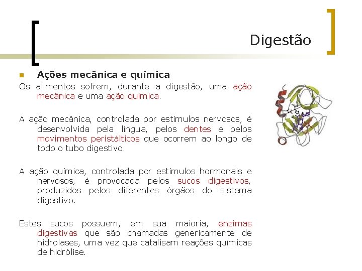 Digestão n Ações mecânica e química Os alimentos sofrem, durante a digestão, uma ação