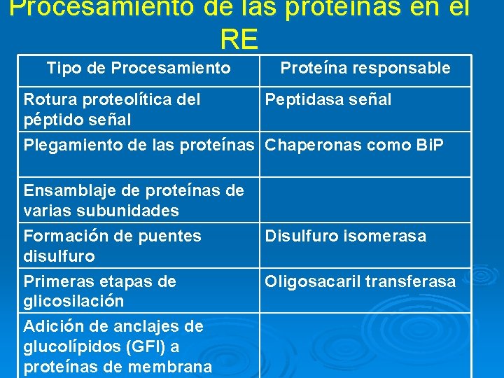 Procesamiento de las proteínas en el RE Tipo de Procesamiento Rotura proteolítica del péptido Procesamiento de las proteínas en el RE Tipo de Procesamiento Rotura proteolítica del péptido