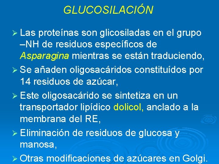 GLUCOSILACIÓN Ø Las proteínas son glicosiladas en el grupo –NH de residuos específicos de GLUCOSILACIÓN Ø Las proteínas son glicosiladas en el grupo –NH de residuos específicos de