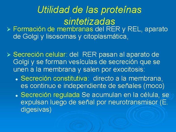 Utilidad de las proteínas sintetizadas Ø Formación de membranas del RER y REL, aparato Utilidad de las proteínas sintetizadas Ø Formación de membranas del RER y REL, aparato